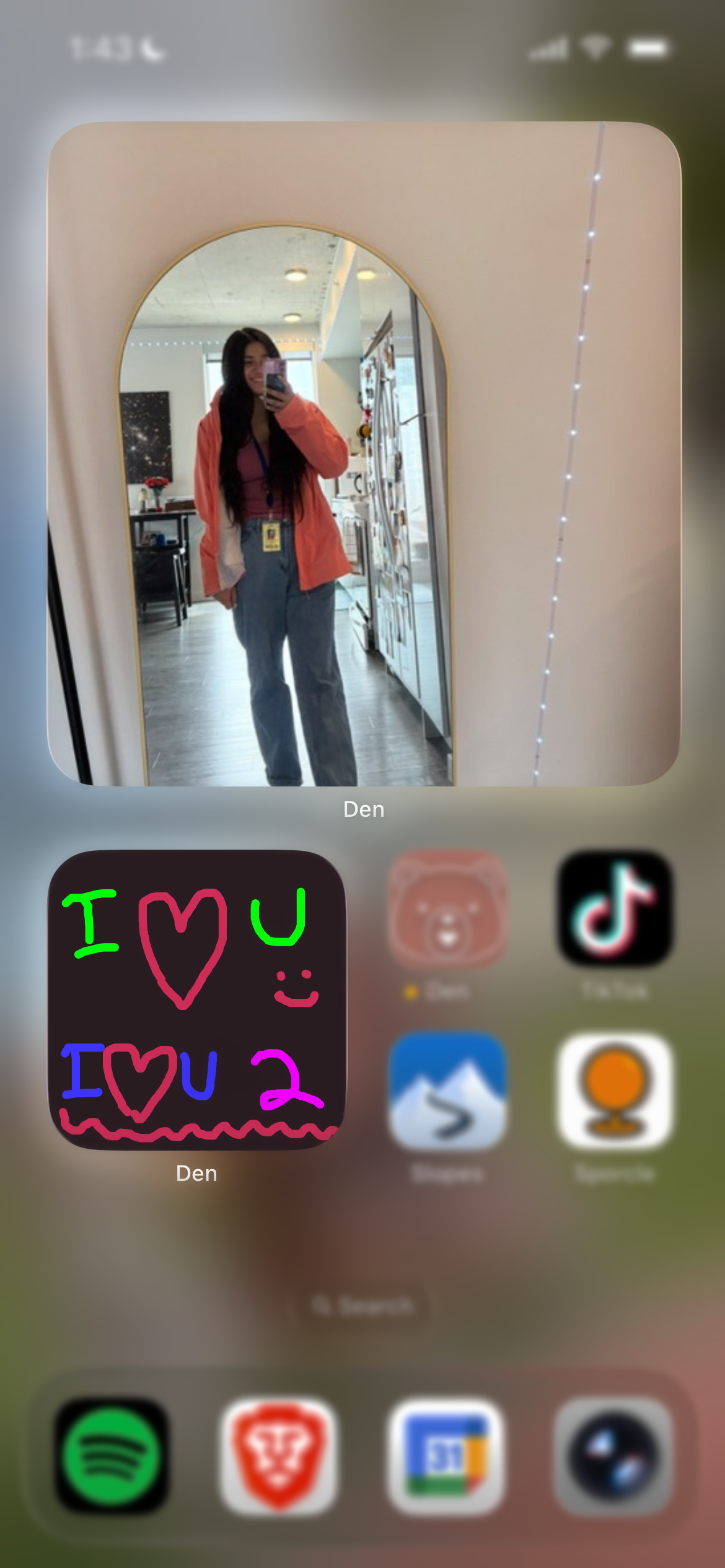 Den home screen widgets preview